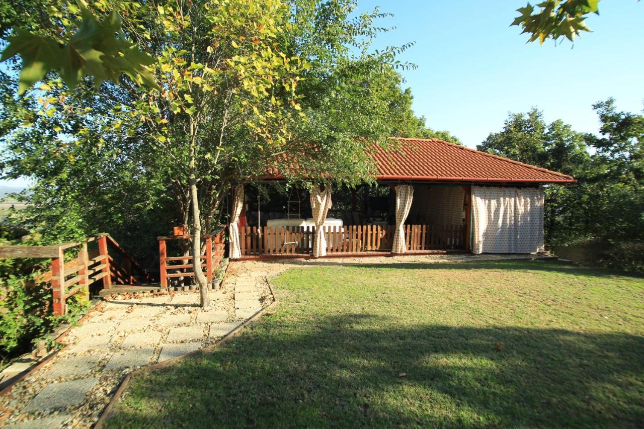 Vila La Sognare, Ahol Az Alom Valora Valik